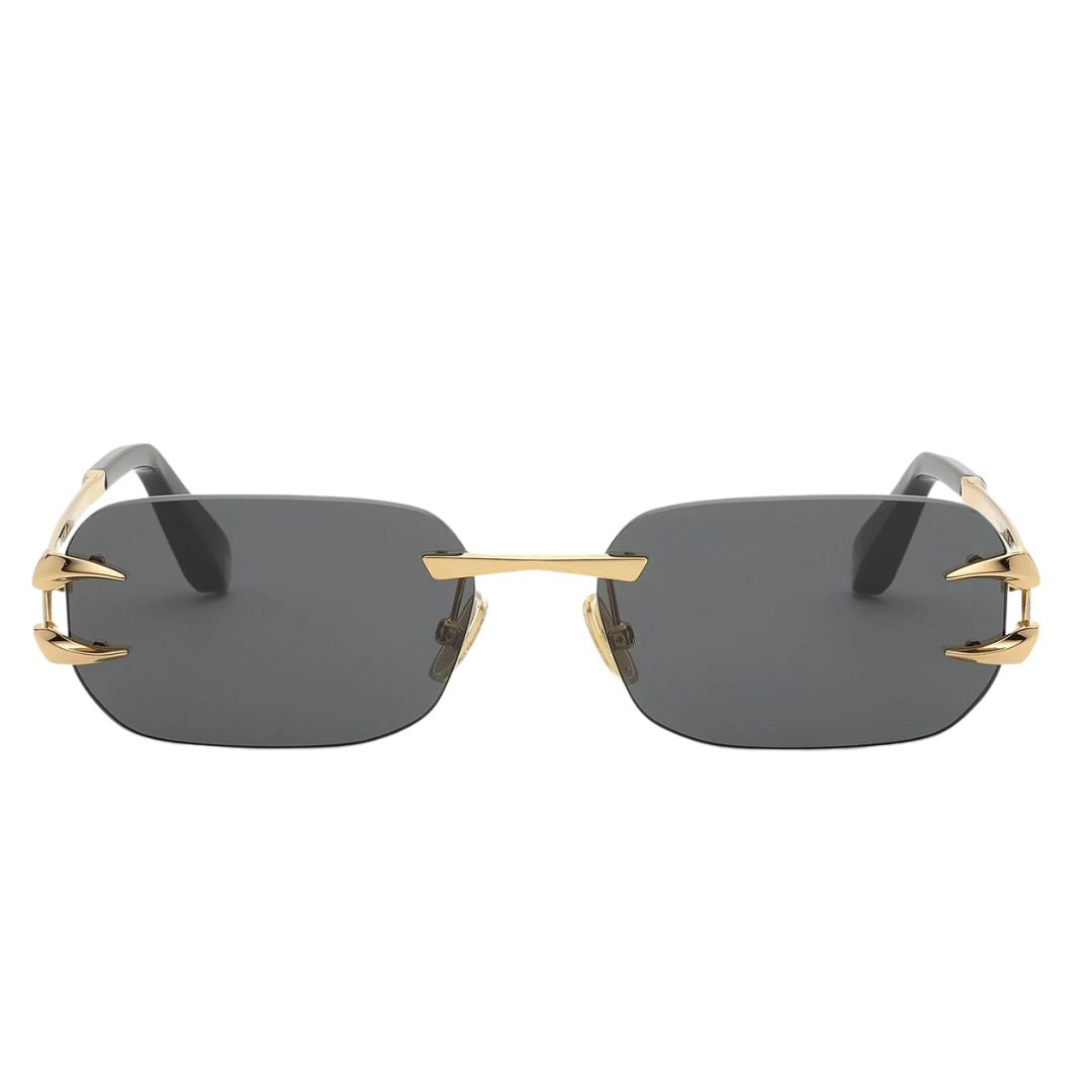Roberto Cavalli eyewear collection
