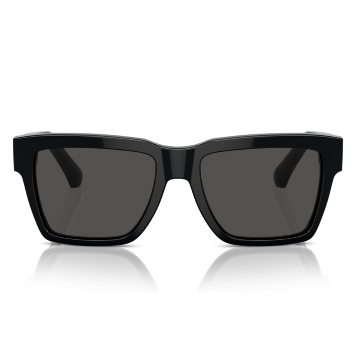 Dolce & Gabbana Dg4465 501/87