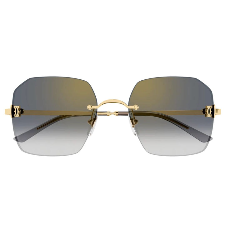 Cartier  Ct0591s 001