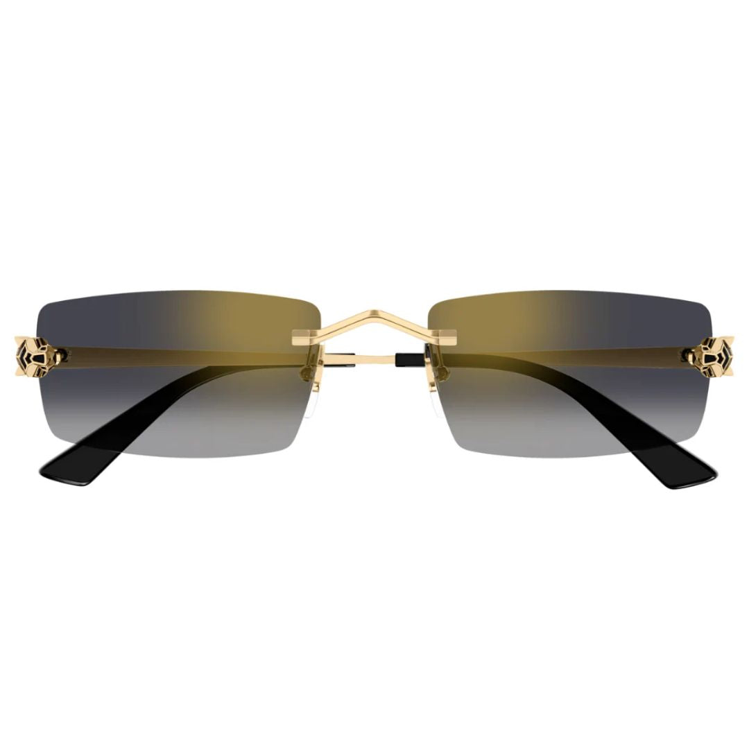 Cartier  Ct0598s 001