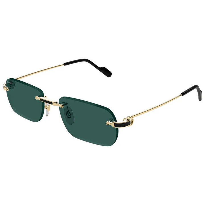 Cartier Ct0498s 003
