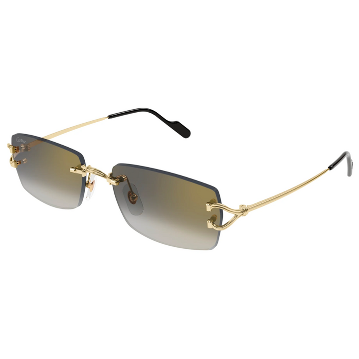 Cartier Ct0550s 002