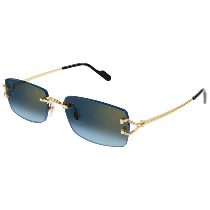Cartier Ct0550s 003