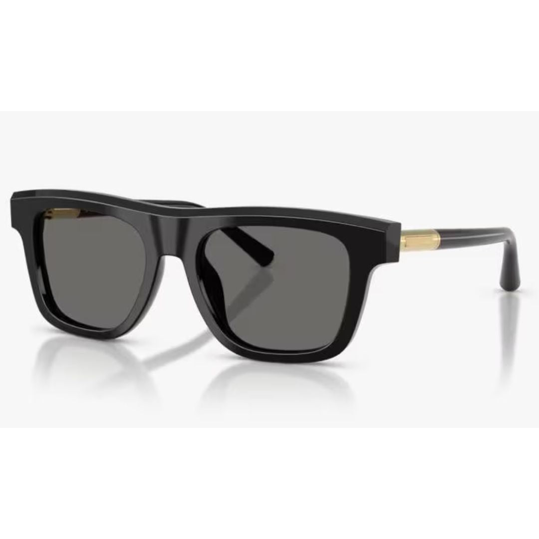 Dolce and gabbana Dg4521 501/1