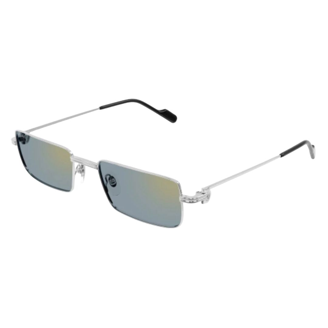 Cartier CT0501S 008