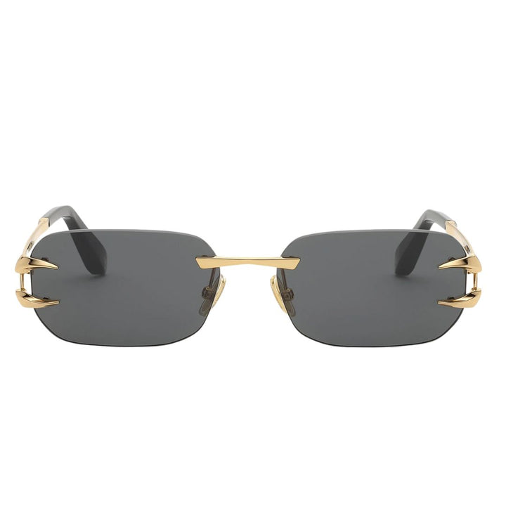 Roberto cavali Src181 300k