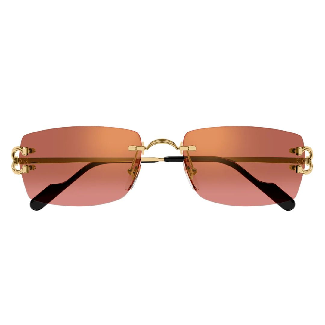 Cartier CT0550S 005
