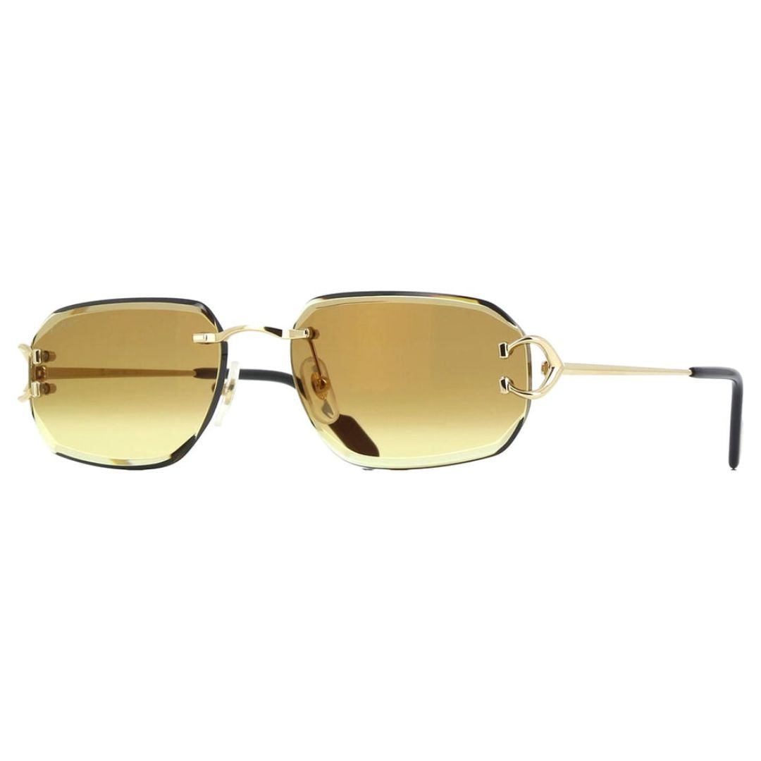 Cartier CT0468S 004