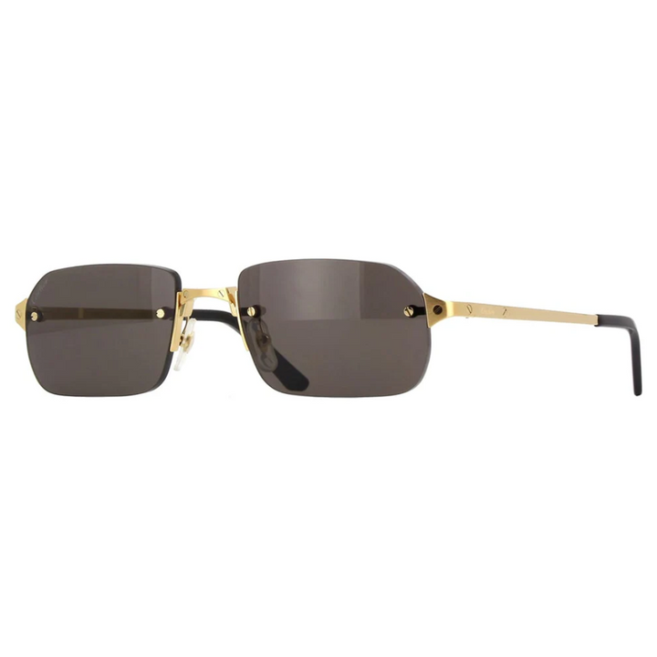 Cartier Ct0460s 001