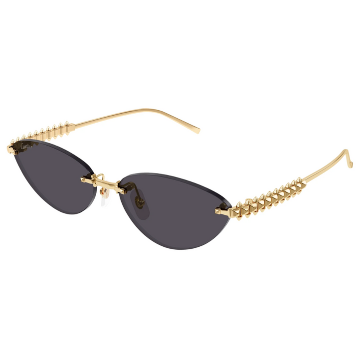 Cartier Ct0543s 002