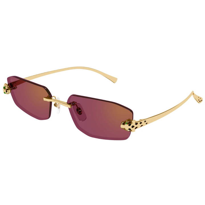 Cartier Ct0474s 002