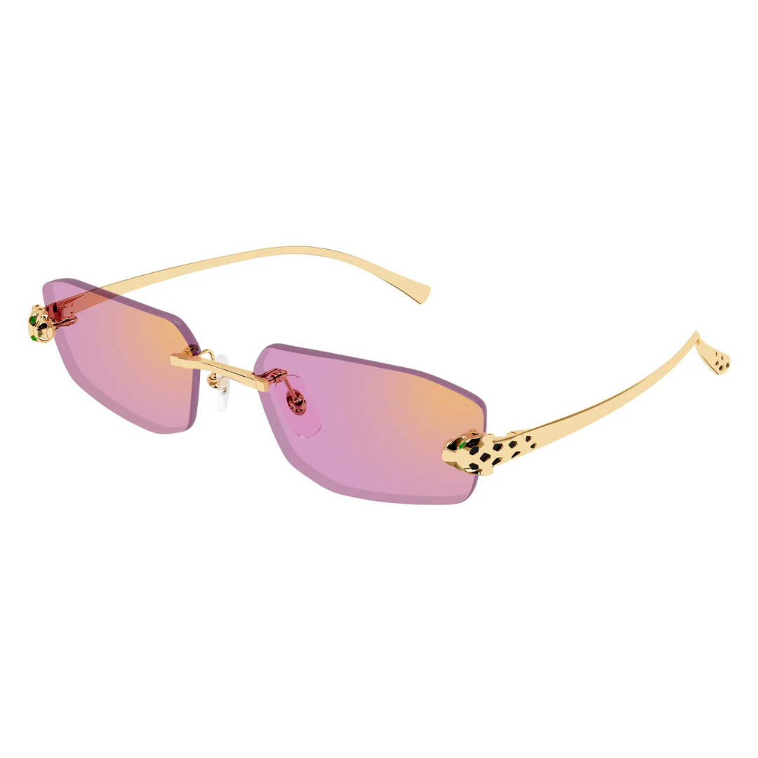 Cartier CT0474S 006