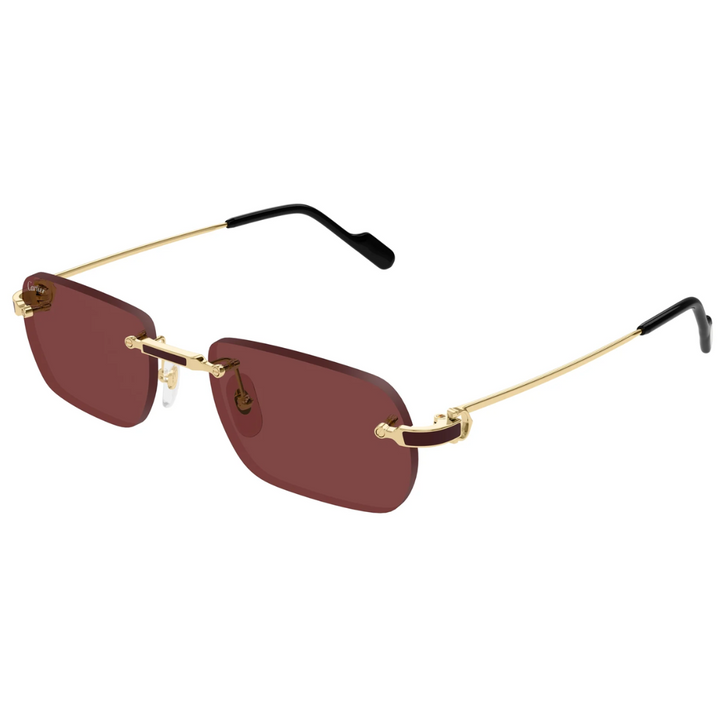 Cartier Ct0498s 002