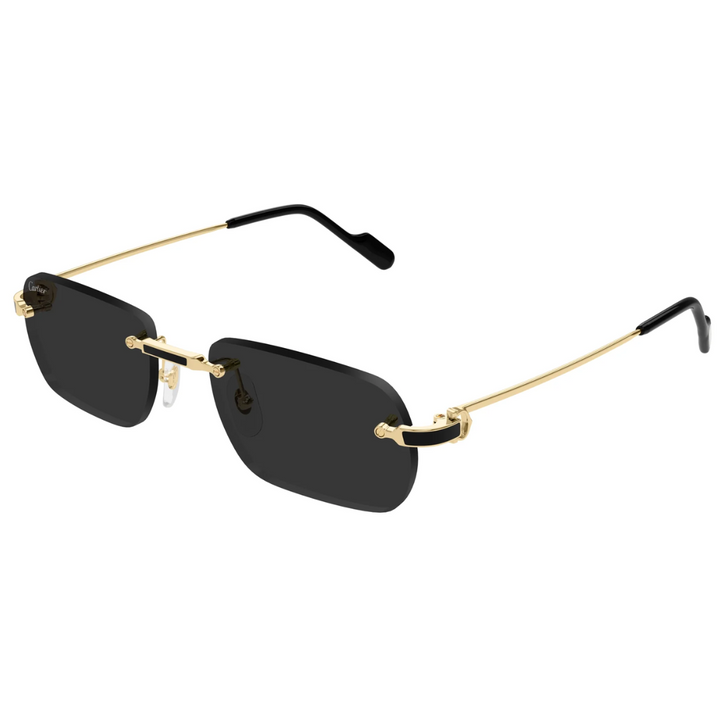 Cartier Ct0498s 001