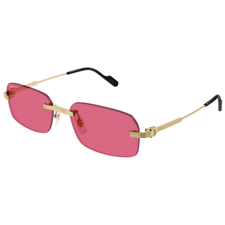 Cartier Ct0271s 010