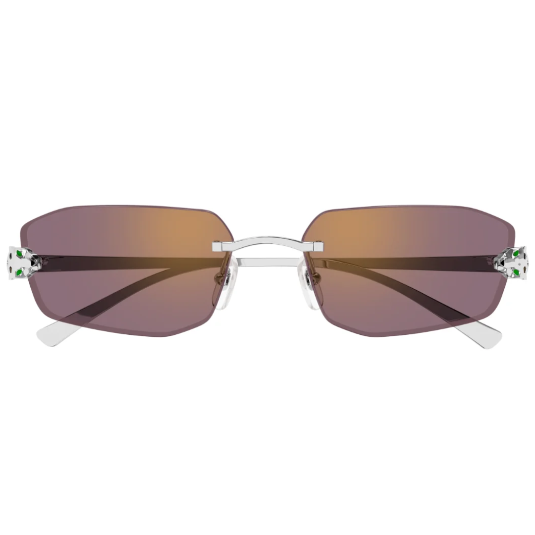 Cartier Ct0474s 004