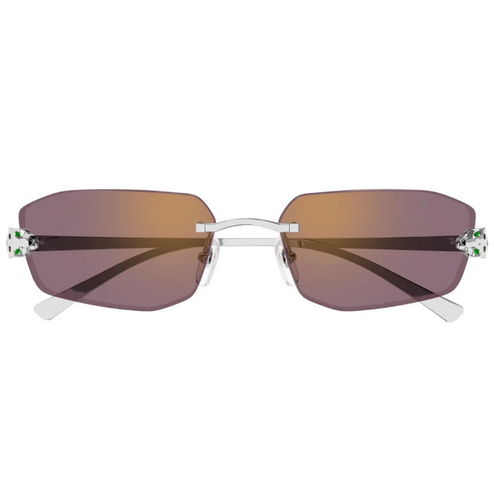 Cartier Ct0474s 004