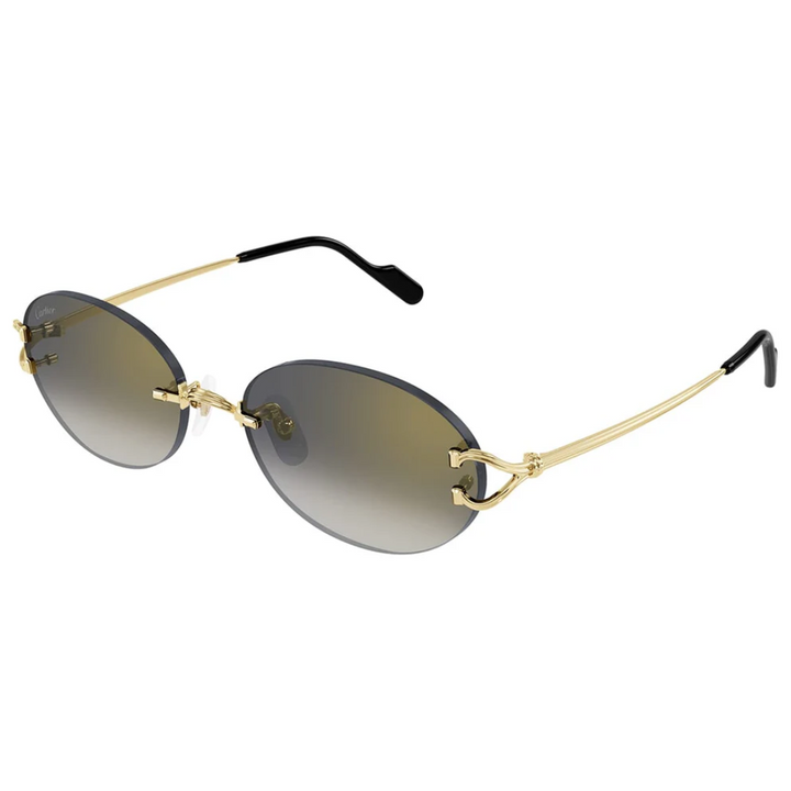 Cartier Ct0551s 001