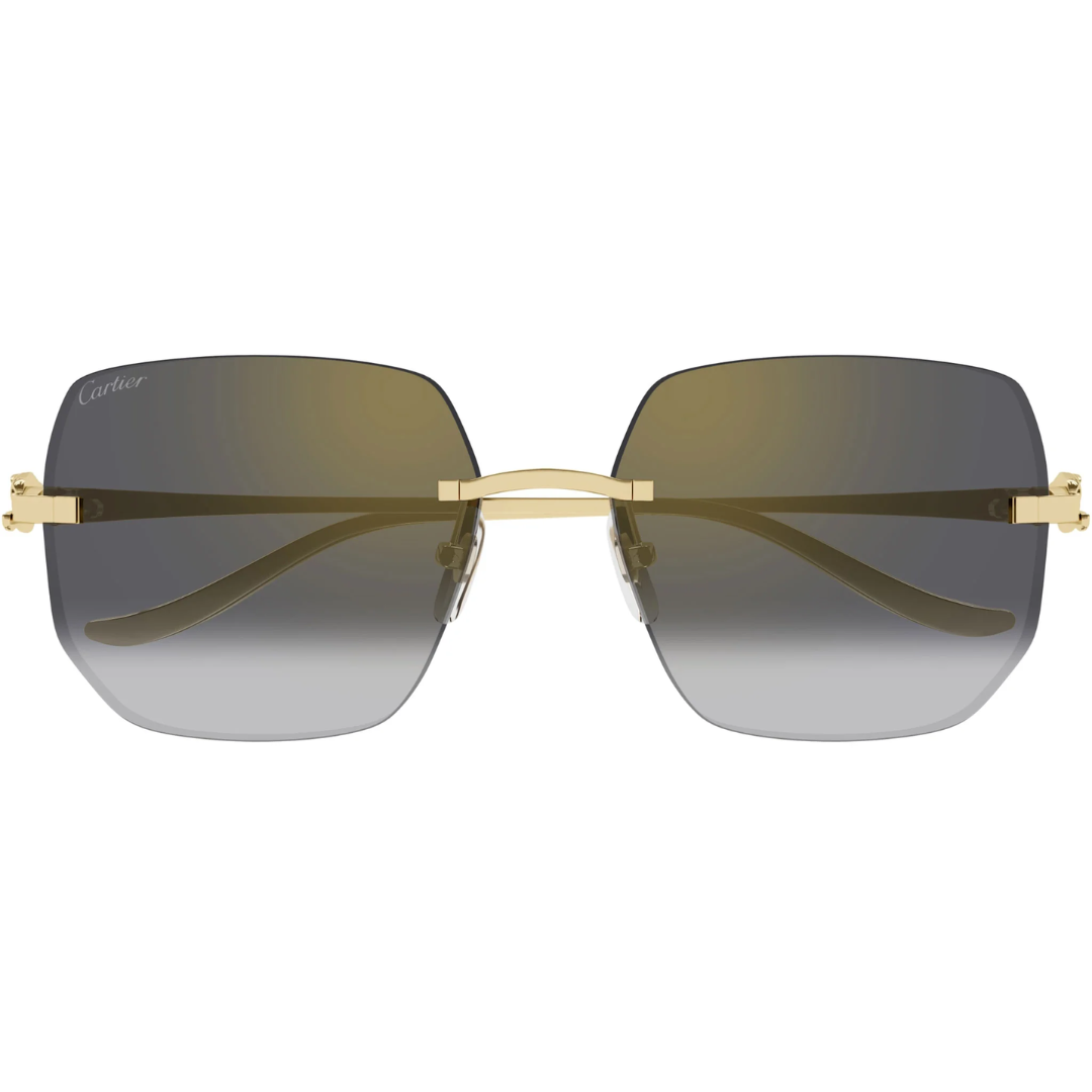 Cartier Ct0549s 001