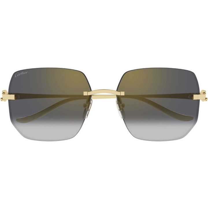Cartier Ct0549s 001