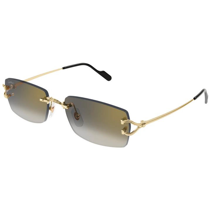 Cartier Ct0550s 001