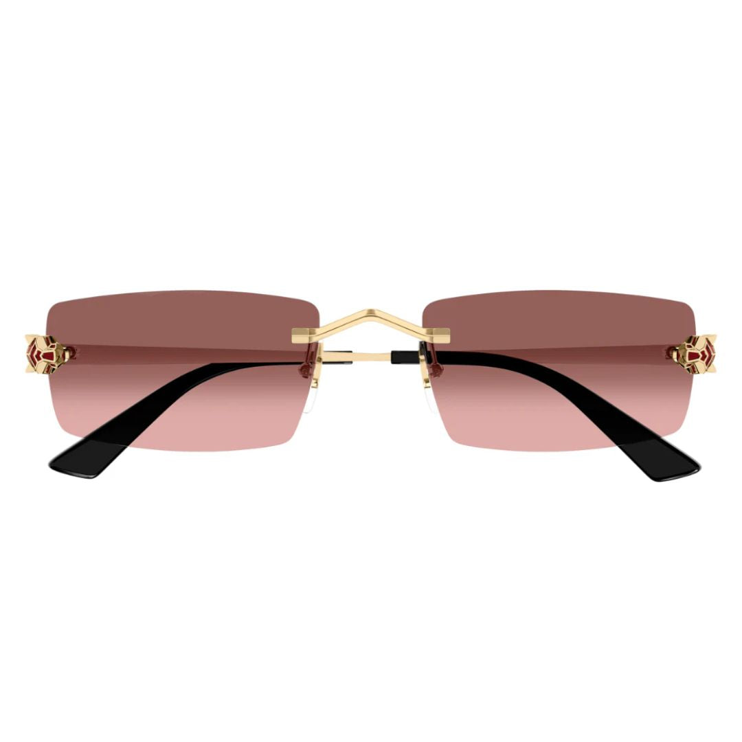 Cartier CT0598S 004