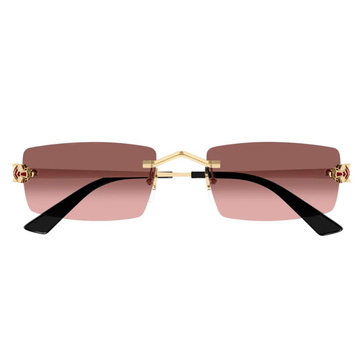 Cartier  Ct0598s 004