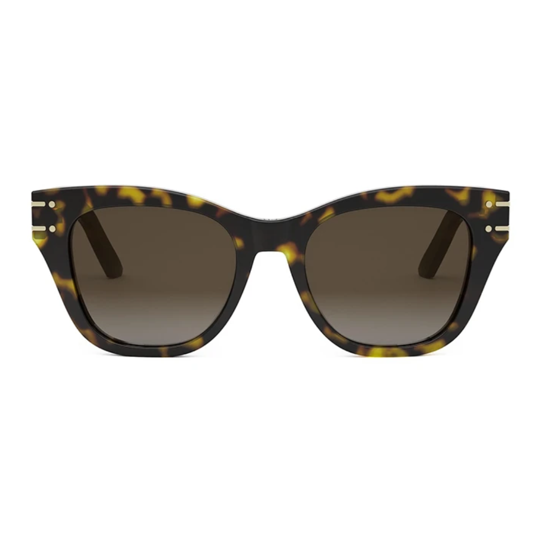 Dior Signature B41 20F1