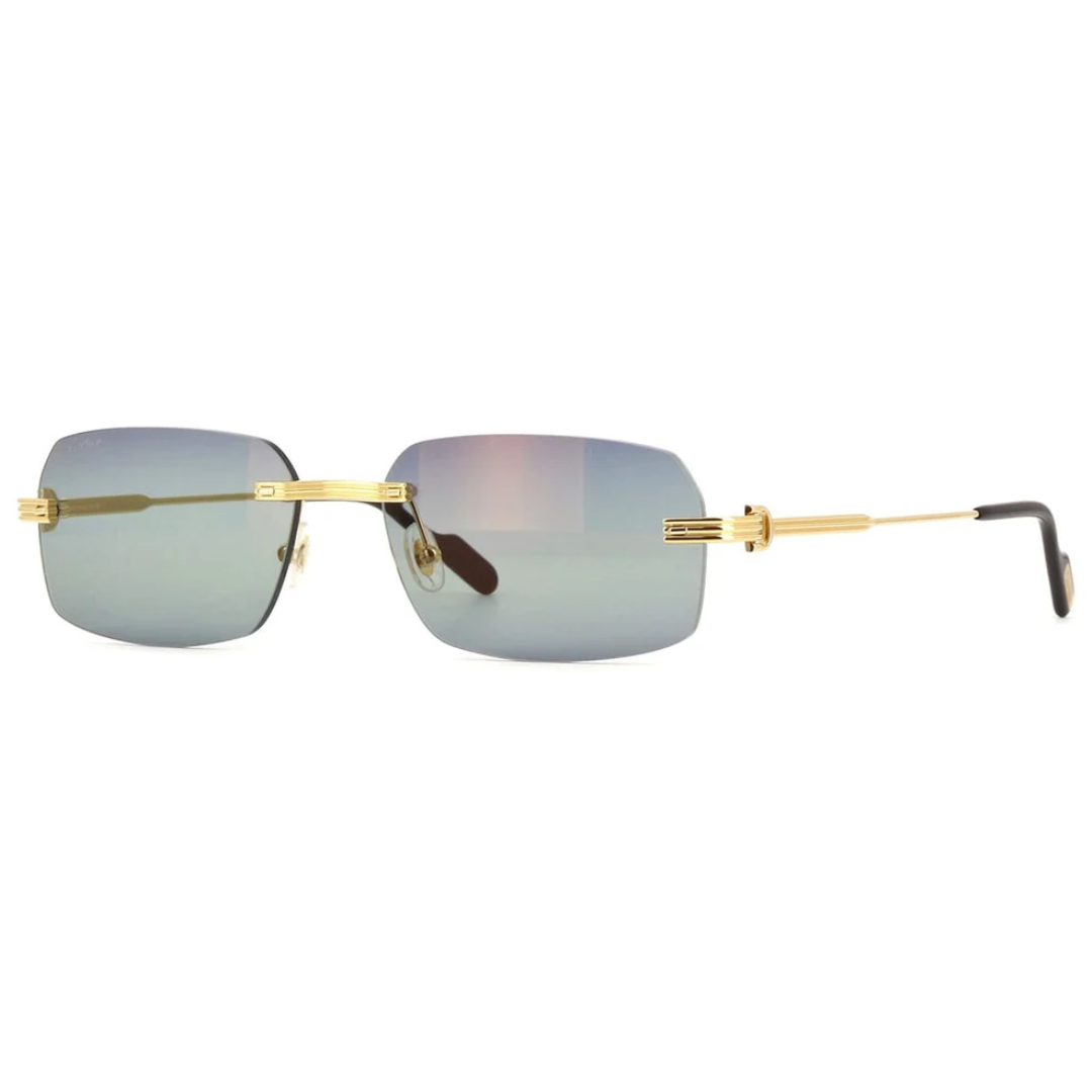 Cartier Ct0271s 006