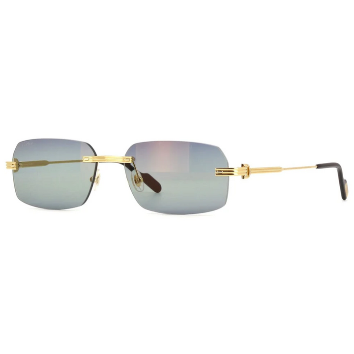 Cartier Ct0271s 006