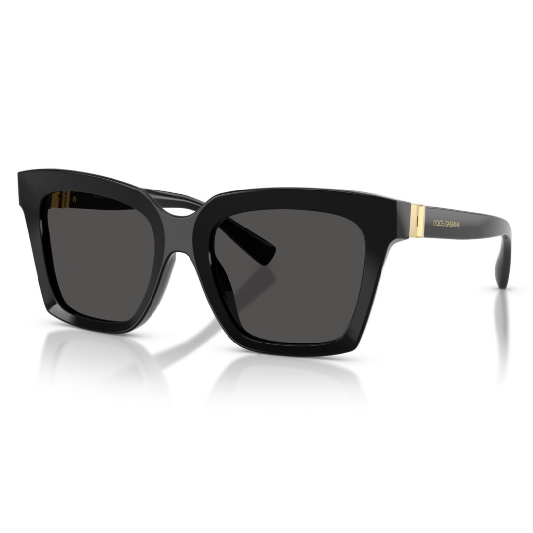 Dolce & Gabbana Dg4498 501/87