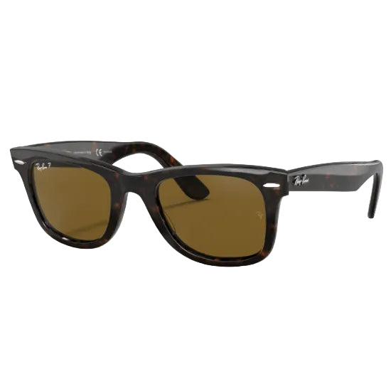 Pair of sunglasses with a tortoiseshell frame on a white background