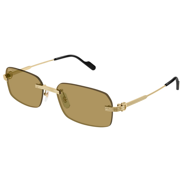 Cartier Ct0271s 009
