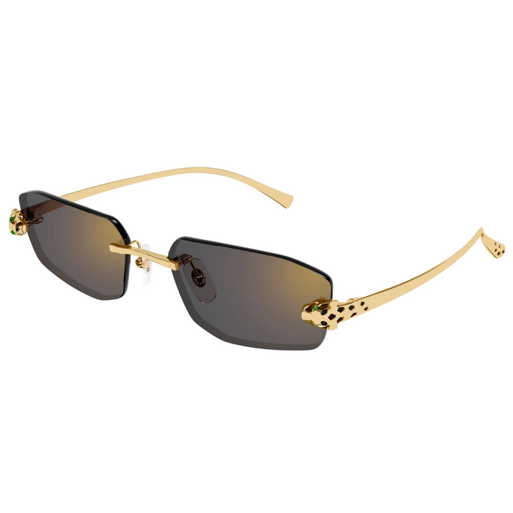Cartier Ct0474s 001