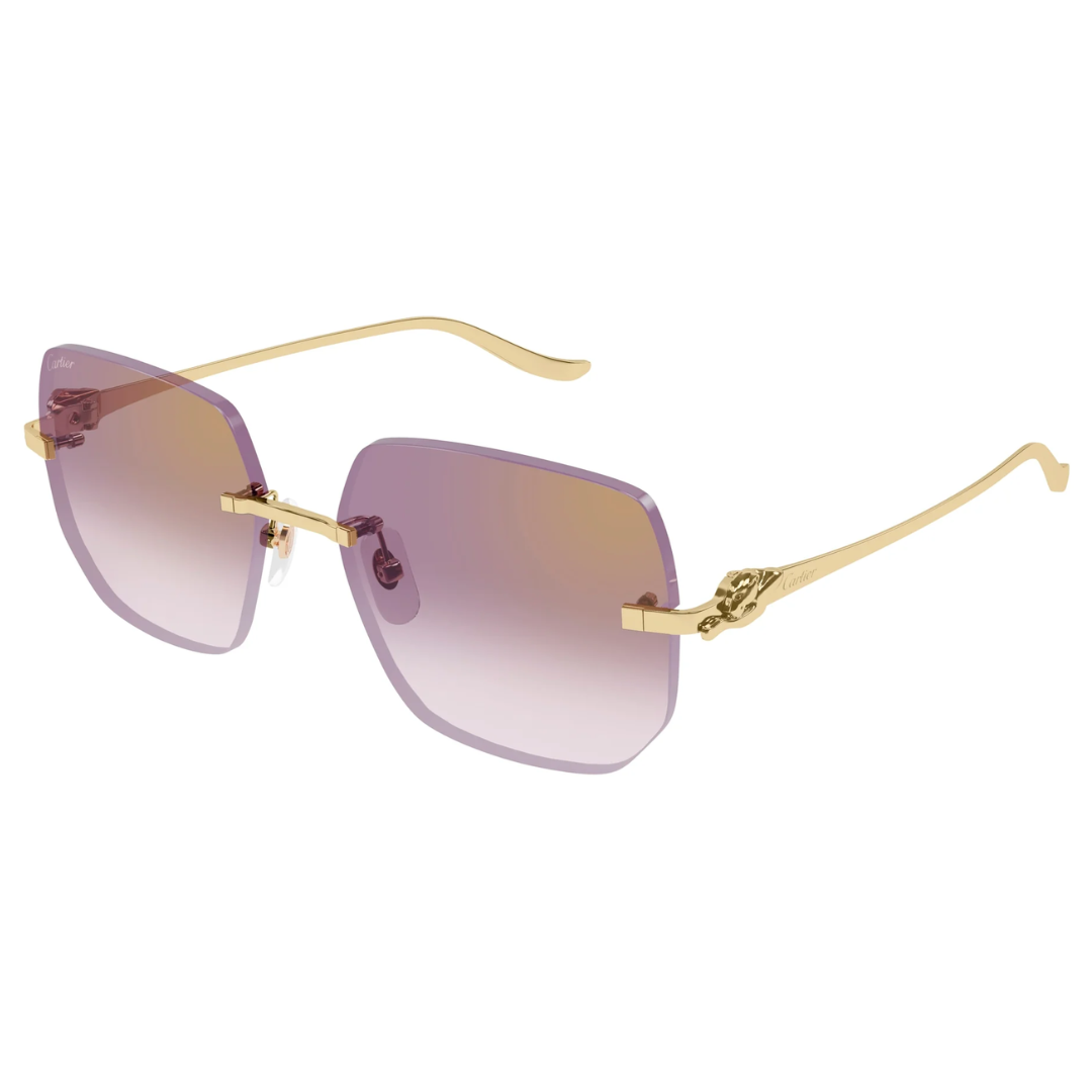 Cartier Ct0549s 004