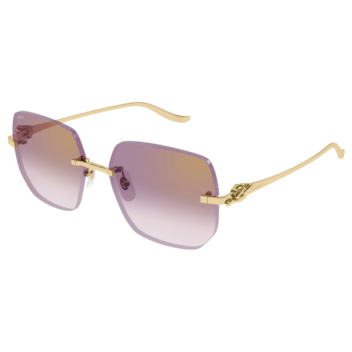 Cartier Ct0549s 004