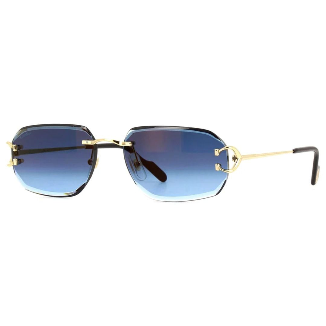 Cartier CT0468S 002