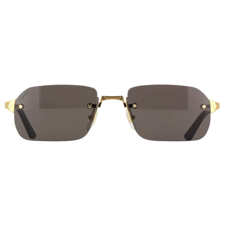 Cartier Ct0460s 001