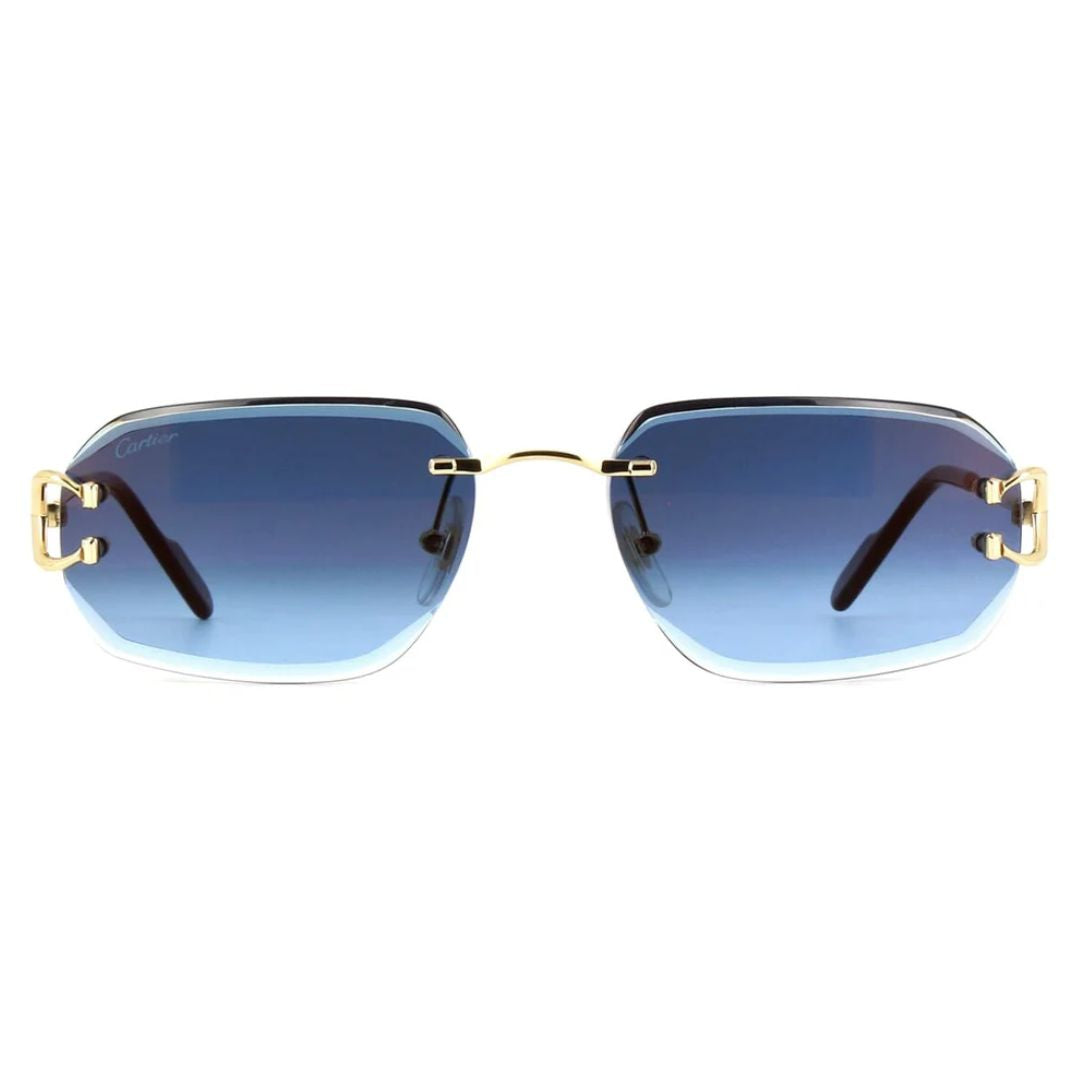 Cartier CT0468S 002