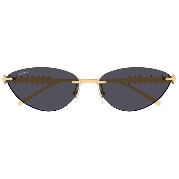 Cartier Ct0543s 002