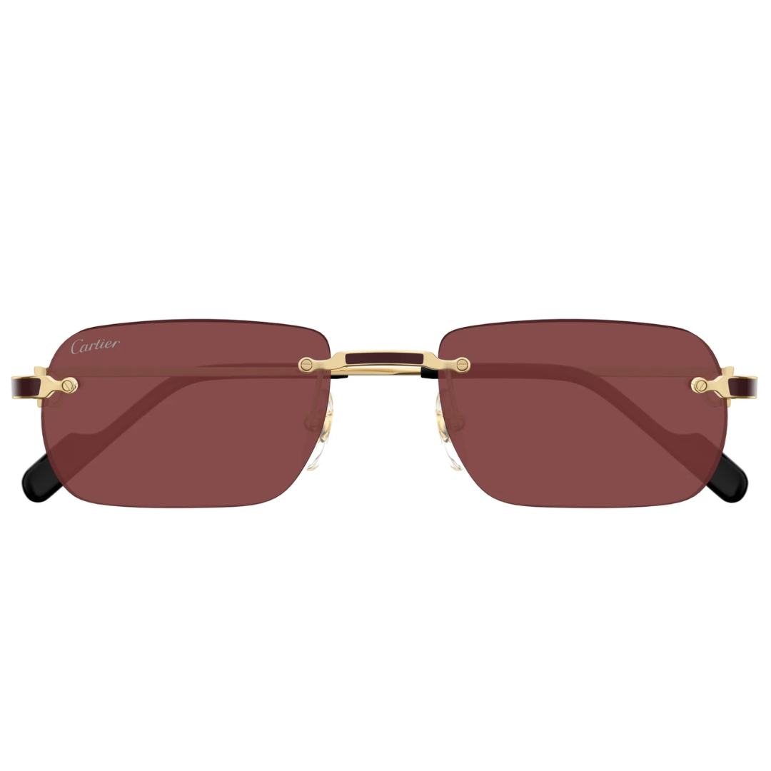 Cartier Ct0498s 002