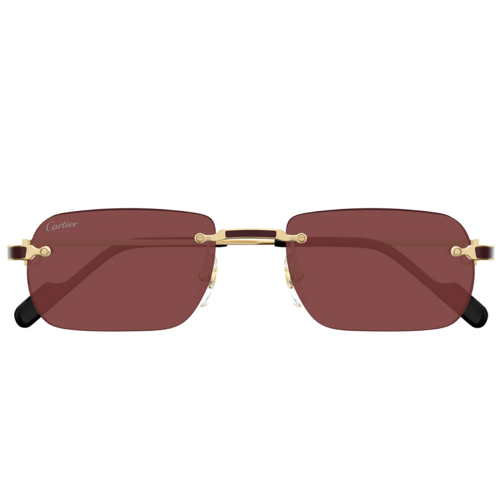 Cartier Ct0498s 002