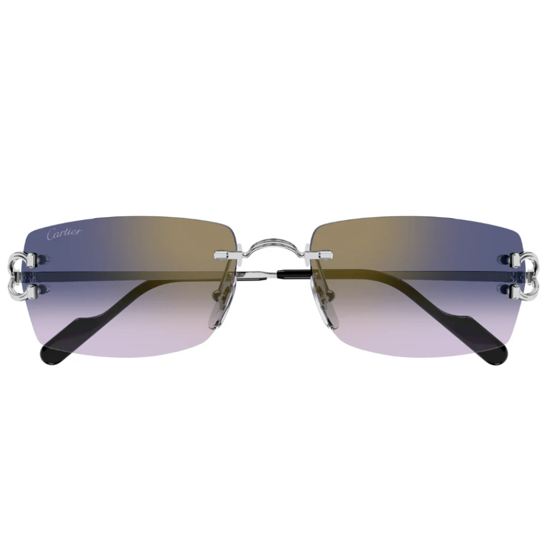 Cartier Ct0550s 004