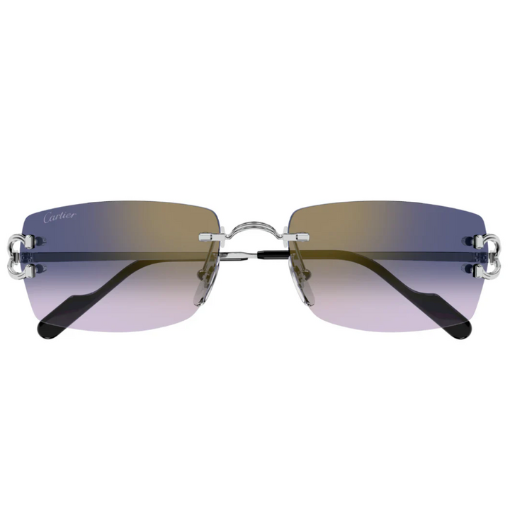Cartier Ct0550s 004
