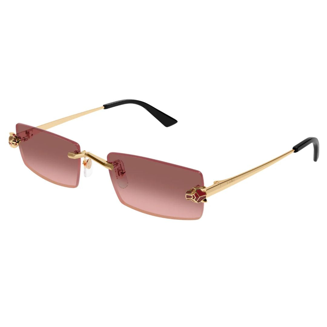 Cartier CT0598S 004
