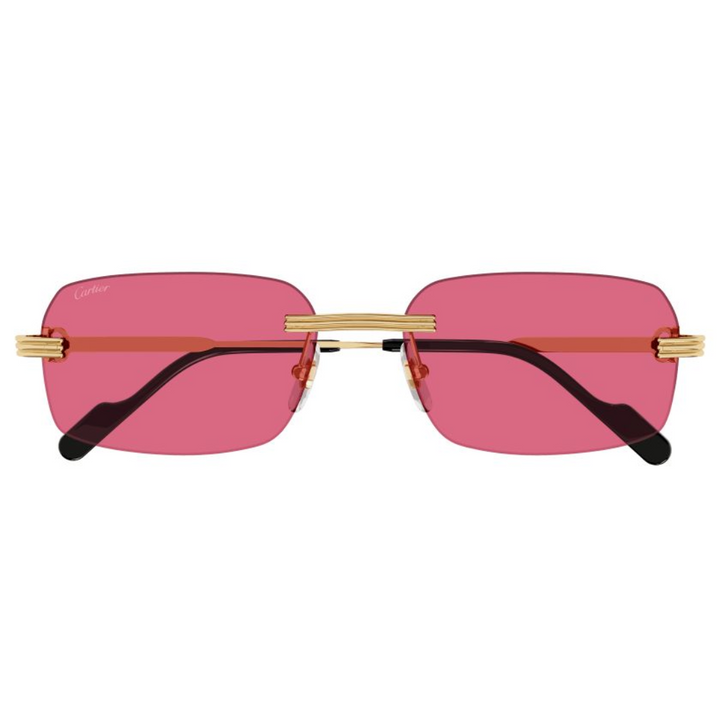 Cartier Ct0271s 010