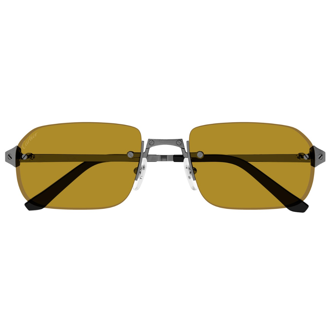 Cartier Ct0460s 004