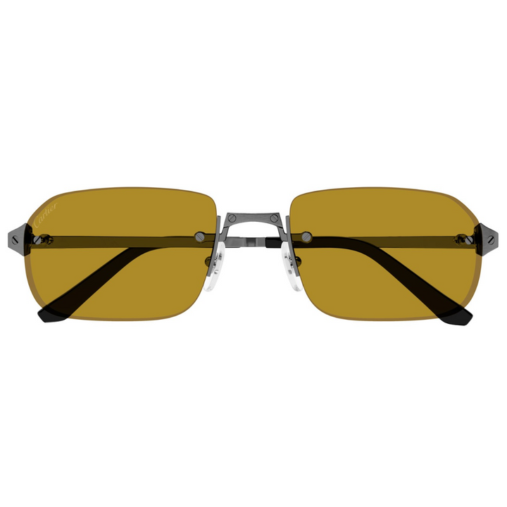 Cartier Ct0460s 004