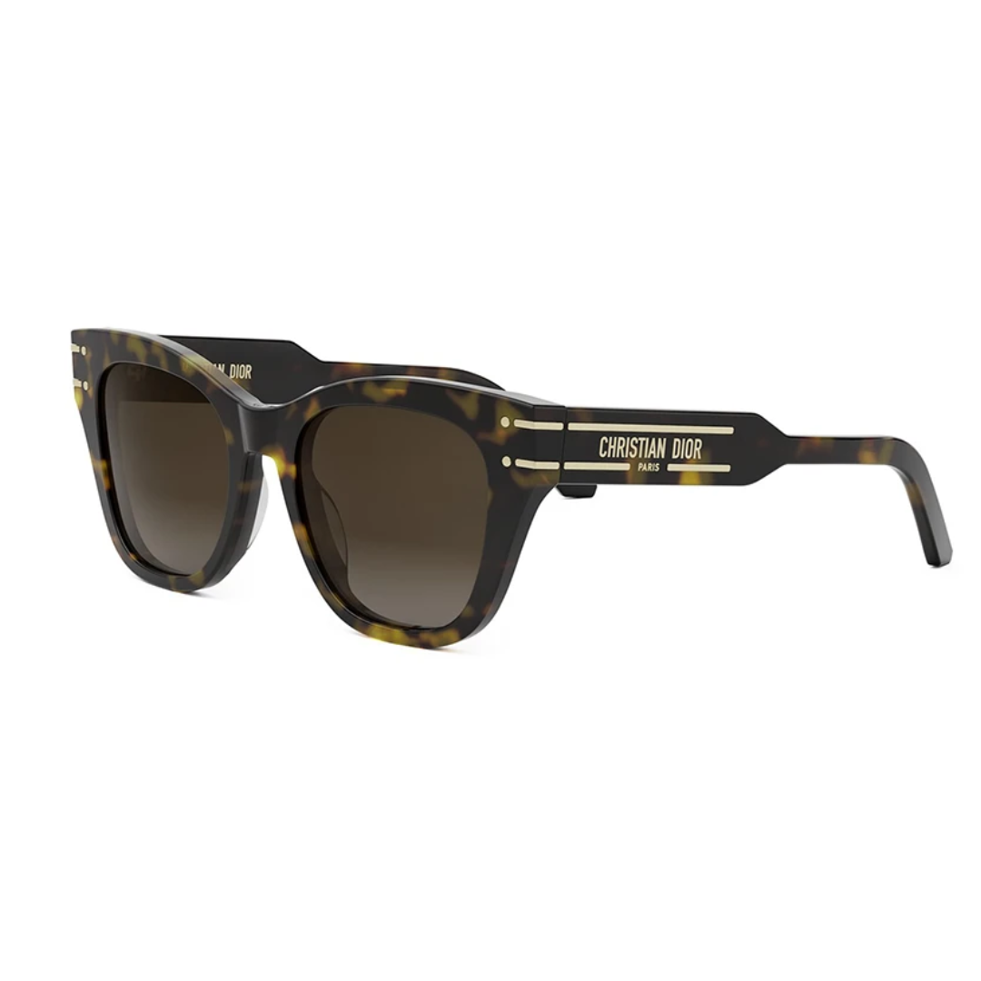 Dior Signature B41 20F1