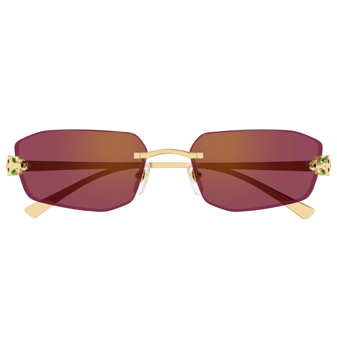 Cartier Ct0474s 002